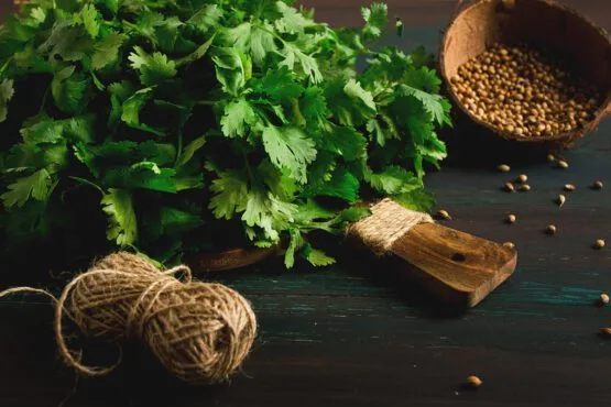 Coriander Powder