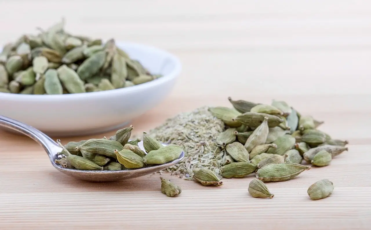 Cardamom Seeds | Uses, Benefits and Side Effects | A Complete Guide