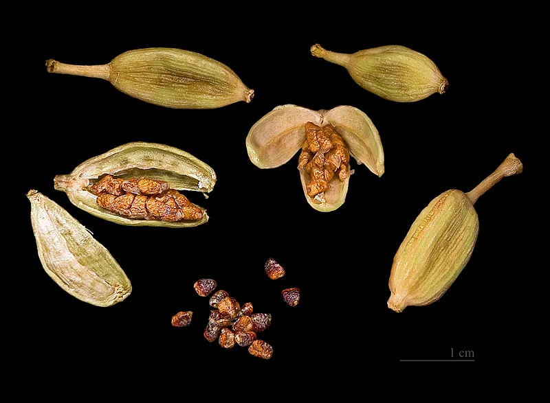 Cardomom Seeds vs pods