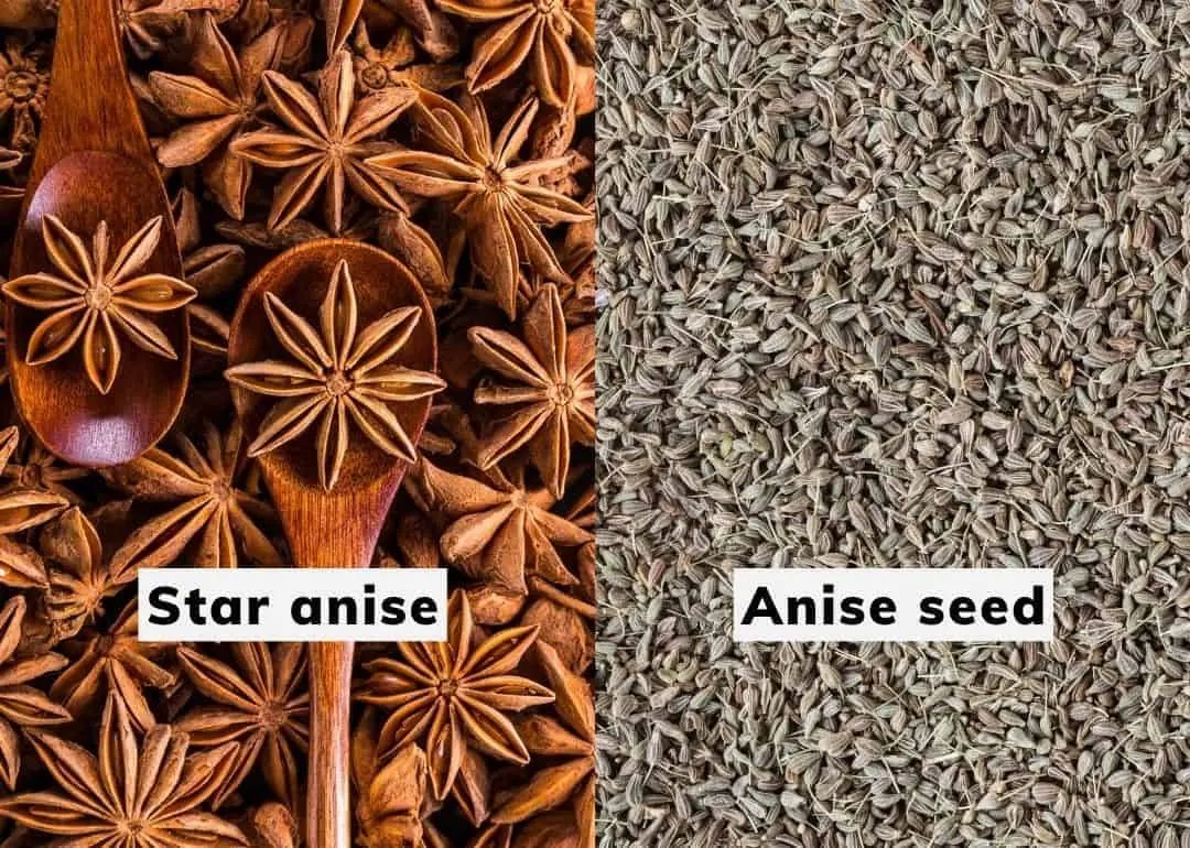 star anise vs anise seeds