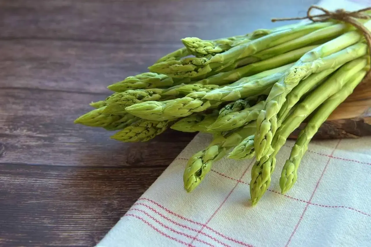 Asparagus Seeds | From Seeds to Health Benefits and Beyond